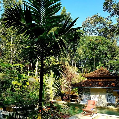 Mi Casa Ijen Guest House Banyuwangi  Exterior foto