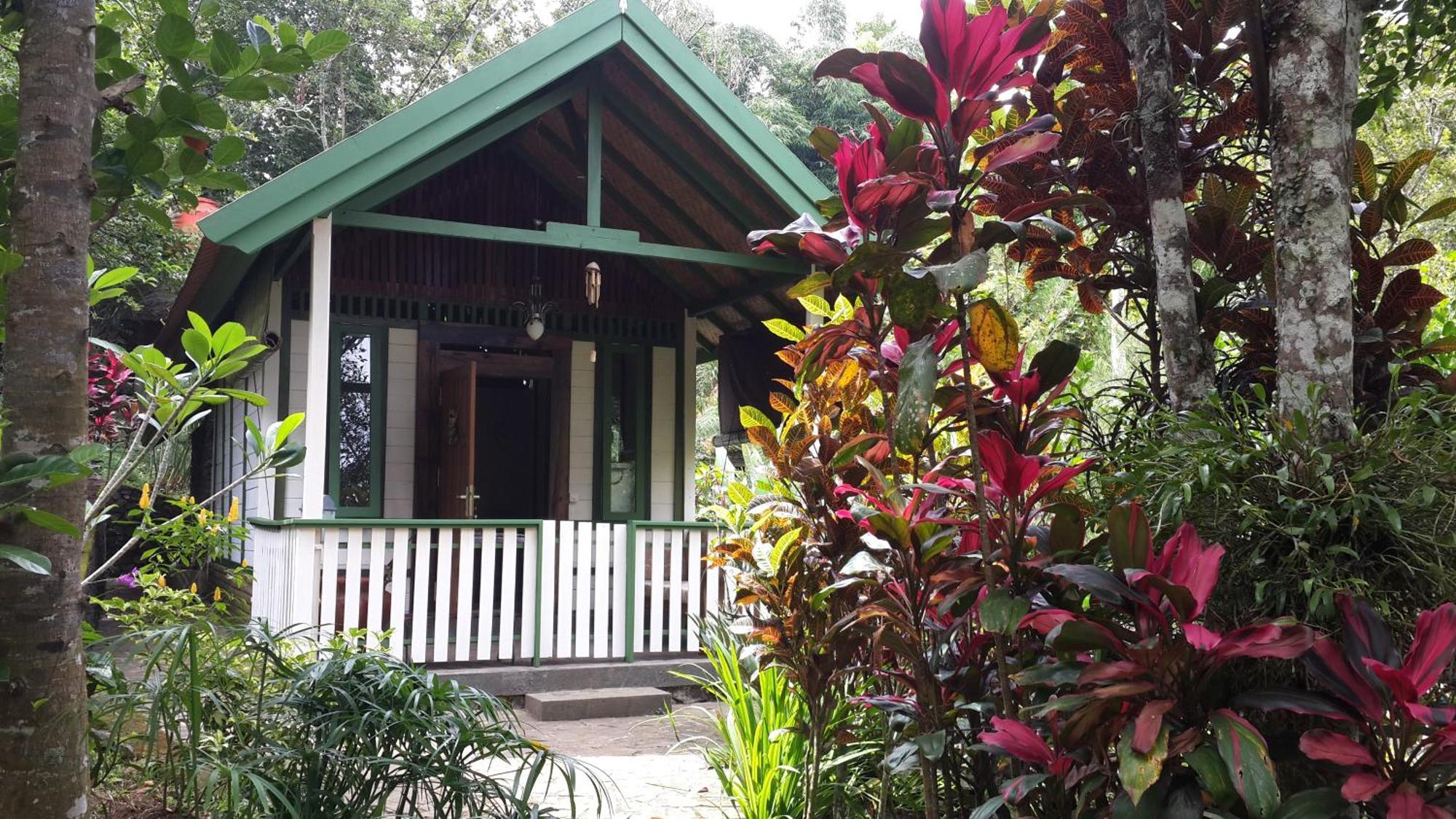 Mi Casa Ijen Guest House Banyuwangi  Exterior foto