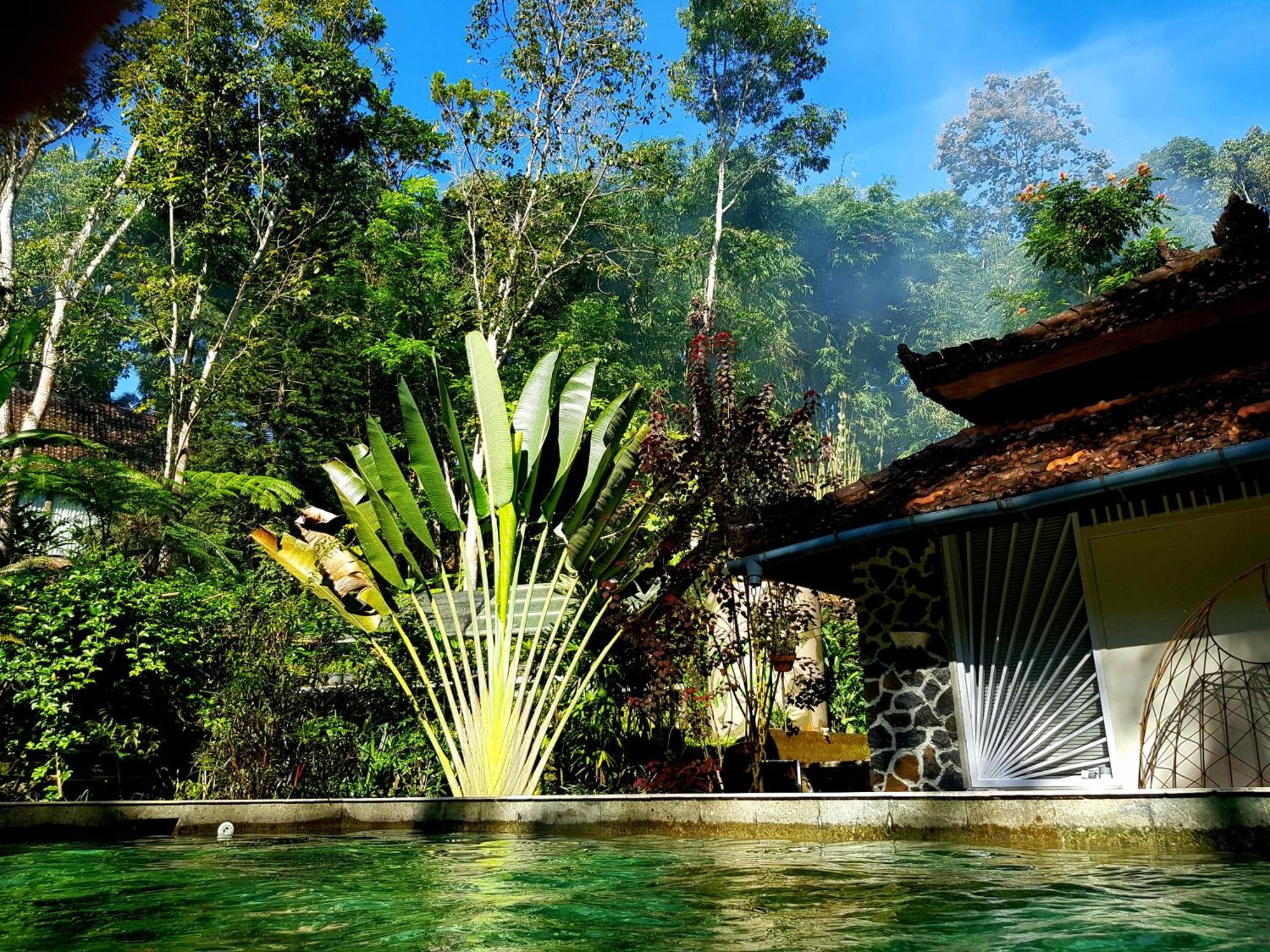 Mi Casa Ijen Guest House Banyuwangi  Exterior foto