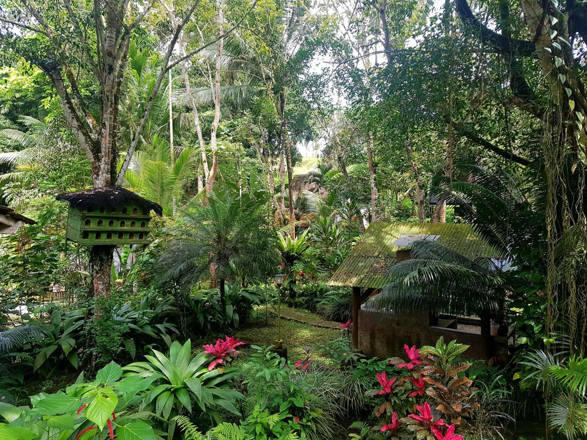 Mi Casa Ijen Guest House Banyuwangi  Exterior foto