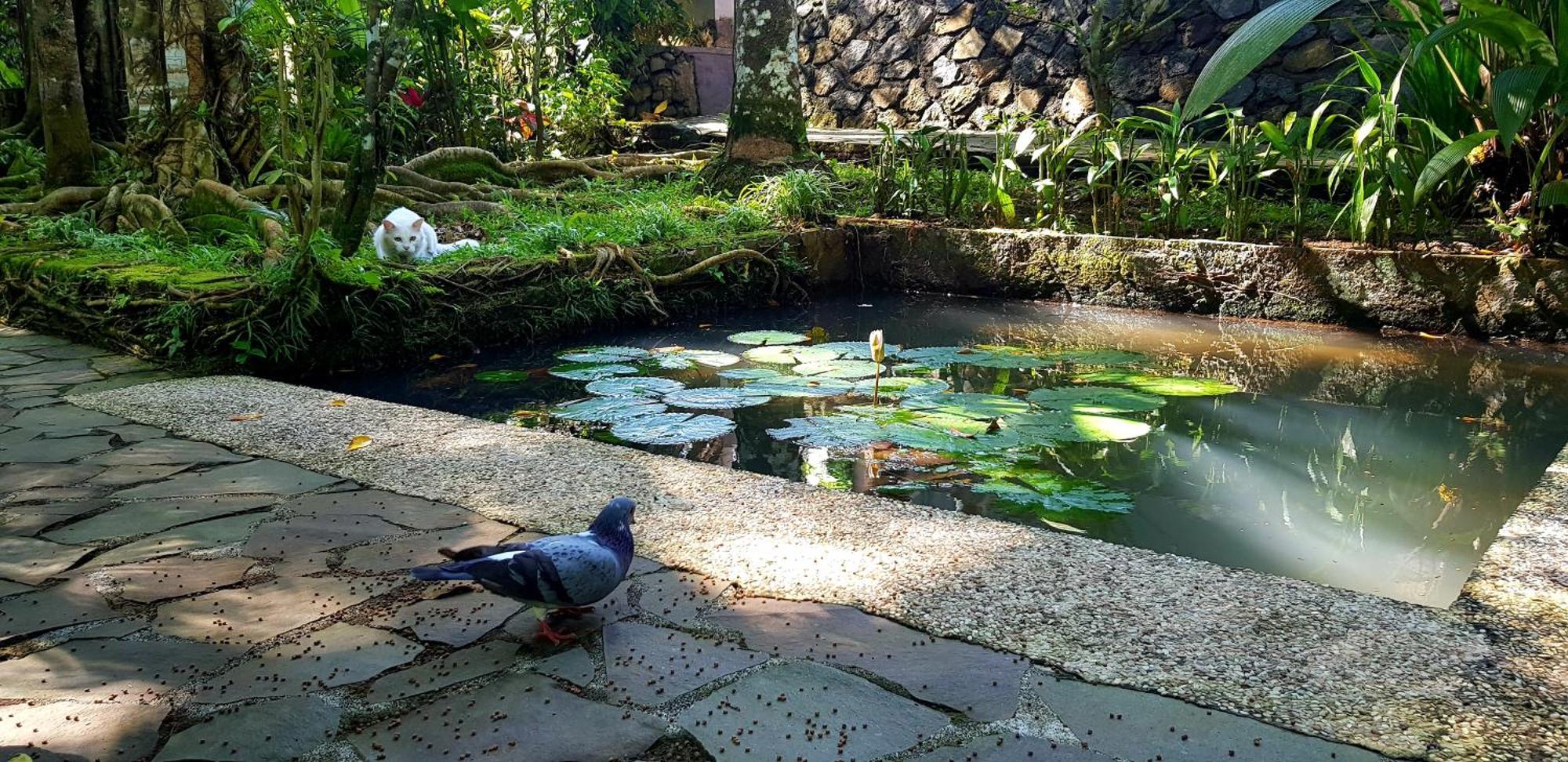 Mi Casa Ijen Guest House Banyuwangi  Exterior foto