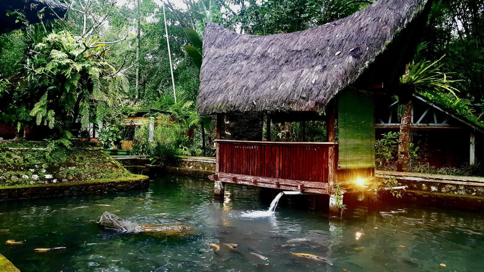 Mi Casa Ijen Guest House Banyuwangi  Exterior foto