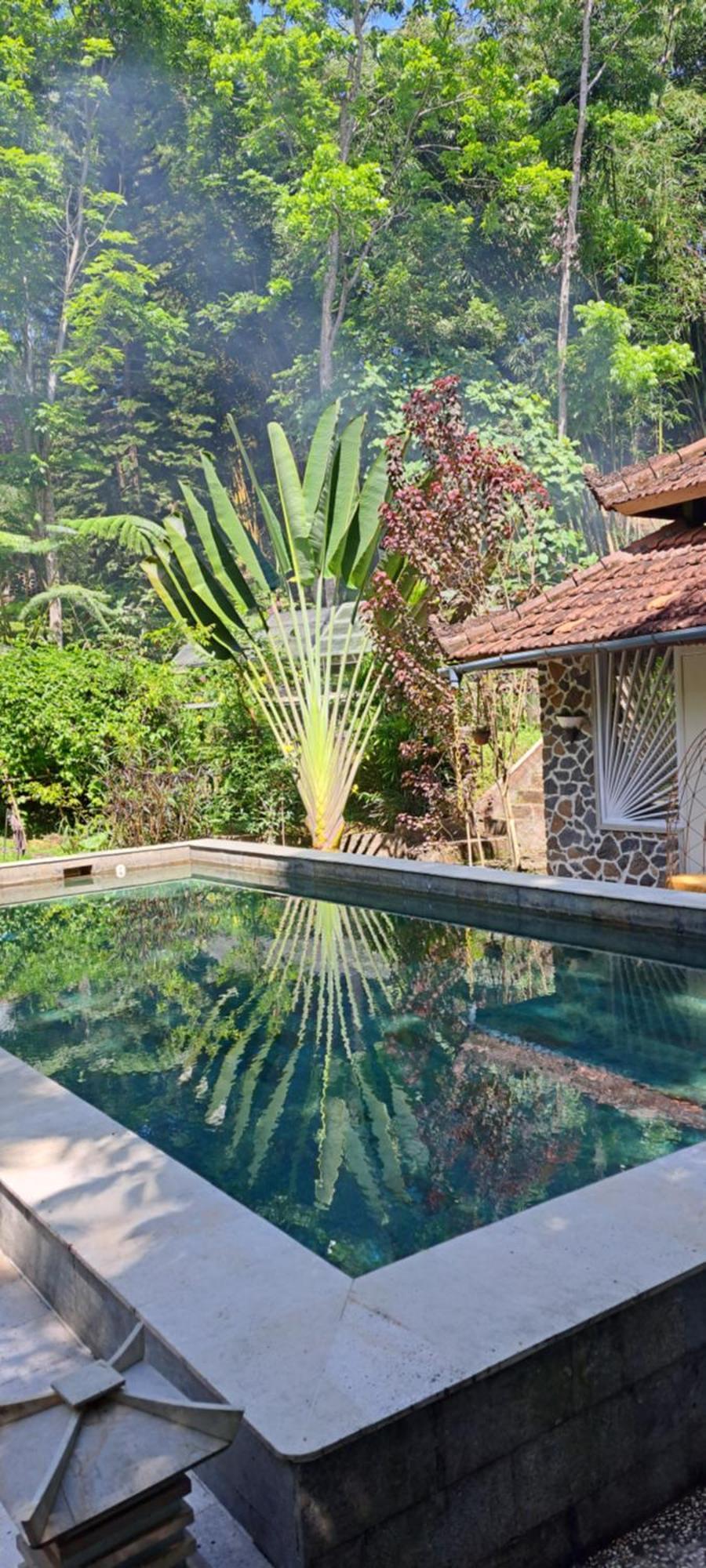 Mi Casa Ijen Guest House Banyuwangi  Exterior foto