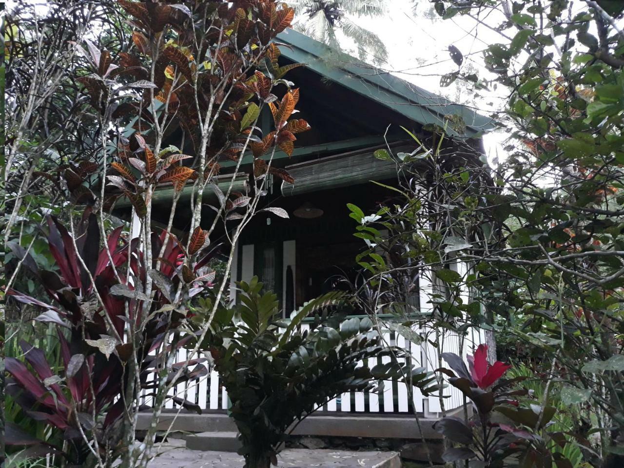 Mi Casa Ijen Guest House Banyuwangi  Exterior foto